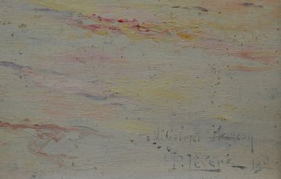 Paul LEVERE Paul LEVERE (1875 1949) Route du pradet. huile sur toile, situé en bas...