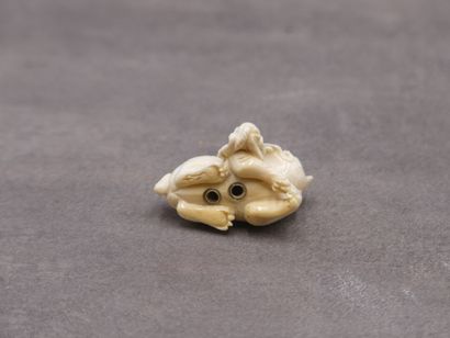 null Netsuke en ivoire figurant un chien de Fo. Dimensions : 3 x 4 cm