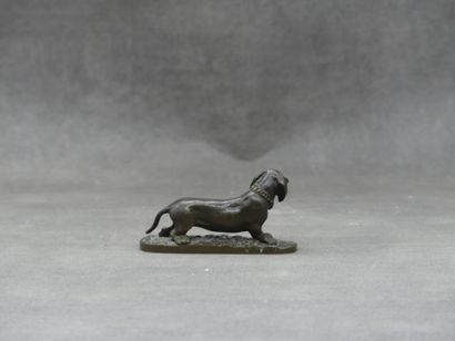 MENE d'après Pierre-Jules MÈNE (1810-1879). Basset, bronze patiné, signé sur la terrasse....