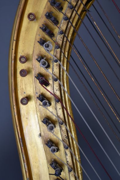 PLEYEL. Grande Harpe. PLEYEL, WOLFF, LYON & Cie. Grande Harpe en bois et stuc doré...