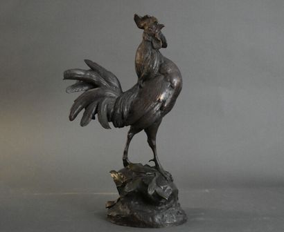 Paul COMOLERA (1818-1897), Bronze. Paul COMOLERA (1818-1897). Coq, Bronze à patine...