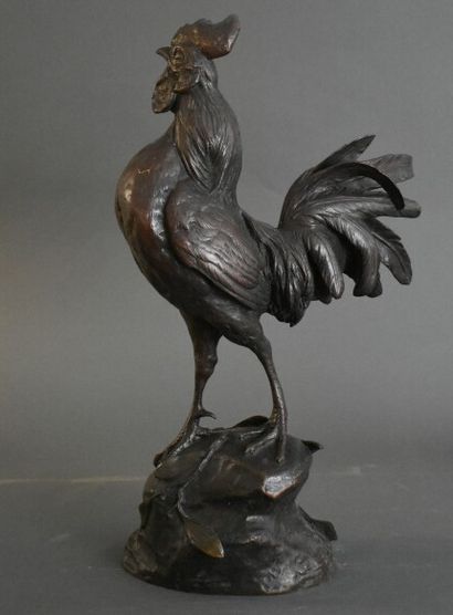Paul COMOLERA (1818-1897), Bronze. Paul COMOLERA (1818-1897). Coq, Bronze à patine...