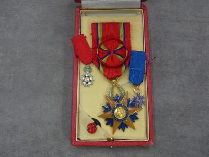 null France Lot de 2 miniatures, Légion d'honneur et Mérite national, rubans. On...