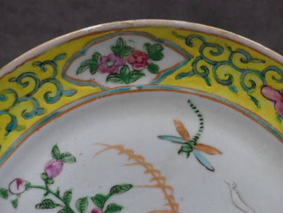 CHINE CHINE. Assiette en porcelaine à décor de fleurs et insectes, fin XIXème siècle....