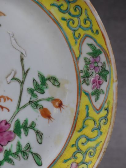 CHINE CHINE. Assiette en porcelaine à décor de fleurs et insectes, fin XIXème siècle....