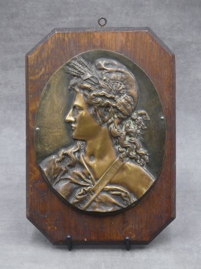 Réunion de deux profils de Marianne en bronze Réunion de deux profils de Marianne...