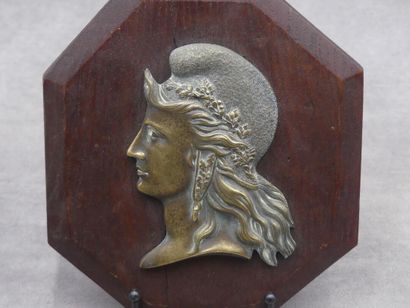 Réunion de deux profils de Marianne en bronze Réunion de deux profils de Marianne...