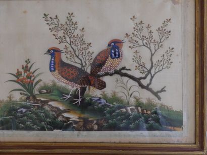 null Quatre peintures sur soie figurant des oiseaux branchés. Dimensions : 24 x 35...