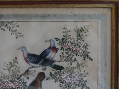 null Quatre peintures sur soie figurant des oiseaux branchés. Dimensions : 24 x 35...