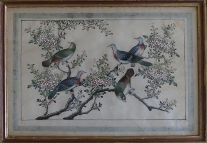 null Quatre peintures sur soie figurant des oiseaux branchés. Dimensions : 24 x 35...