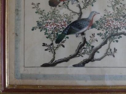 null Quatre peintures sur soie figurant des oiseaux branchés. Dimensions : 24 x 35...