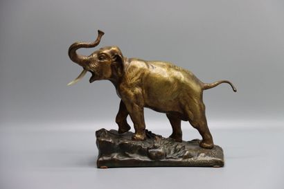 Eléphant Ecole du XXème siècle, Eléphant en bronze à patine dorée nuancée, défenses...