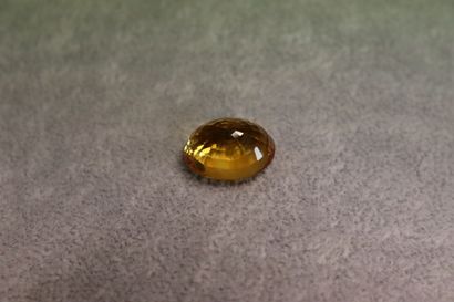 null Une citrine ovale 17.5x13 mm 14.41 cts	

Expert: Pierre Delaye 



Collection...
