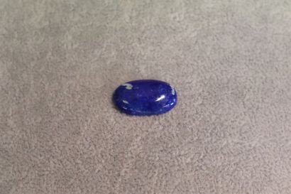 null Un cabochon de lapis lazuli ovale 22x12 mm 10.20 cts	

Expert: Pierre Delaye.



Collection...