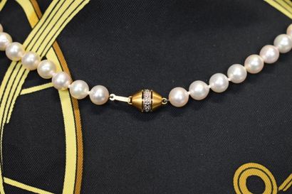 null Un collier de perles de culture fermoir or 750/°°. Perles Ø 7.5 mm Choker ....