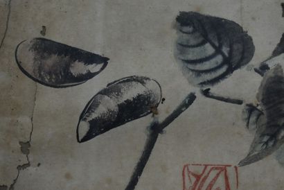 null CHINE. Poissons et feuillage, encre de chine sur papier. Signé. XXème siècle....