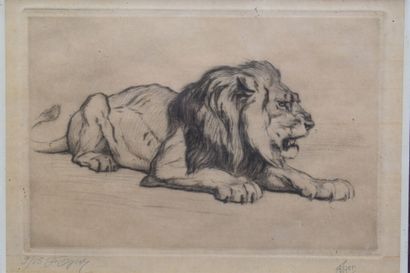 null Ferdinand OGER (1872-1929), Lion, gravure. Signé en bas à gauche et numéroté...