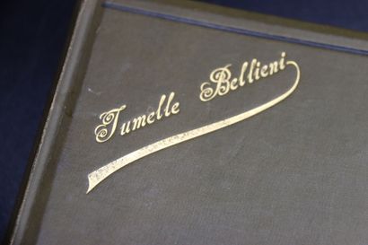 null Photo album. Vers 1900. Marqué " Jumelle BELLIENI". Photos N/B en papier citrate.



L'album...