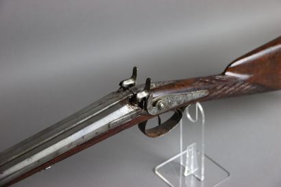 null A double barrel table top shotgun with percussion, one of the hammers does not...