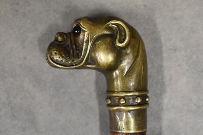 Canne. Canne, pommeau en bronze à patine dorée représentant une tête de bull-dog,...
