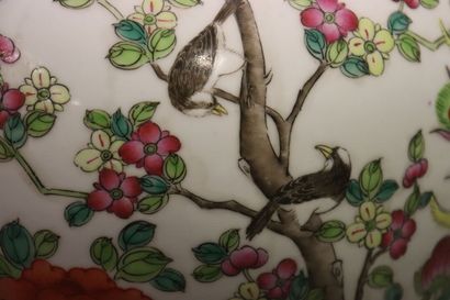 CHINE. Vase porcelaine polychrome à décor d'oiseaux. Hauteur : 56 cm. Diamètre :...
