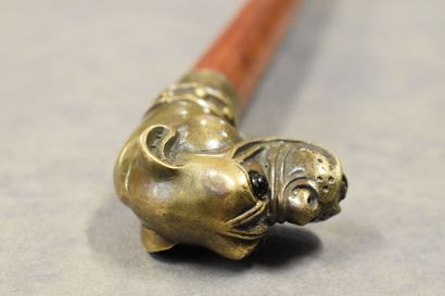 Canne. Canne, pommeau en bronze à patine dorée représentant une tête de bull-dog,...