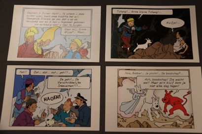 null Lot cartes p.(5) expo Tibet 1990. Editeur : HERGE MOULINSART ed. HAZAN. Parfait...