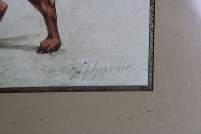 Henri THEVENIN (XX) Henri THEVENIN (XX) , Setter Irlandais, aquarelle, signée en...