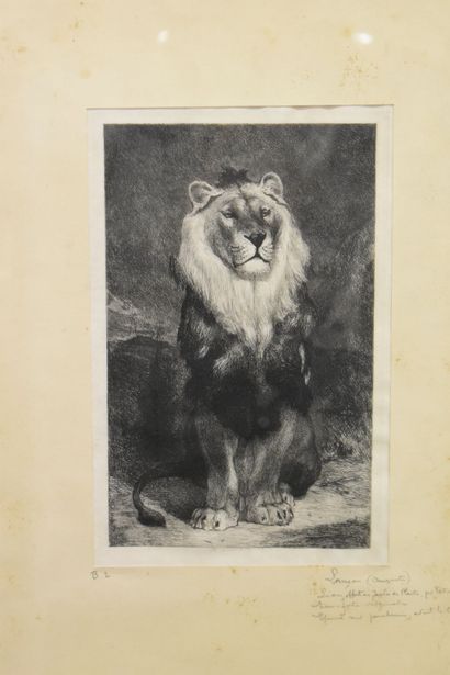 null Auguste André LANÇON (1836-1887), Lion, eau-forte. Signé en bas à droite et...
