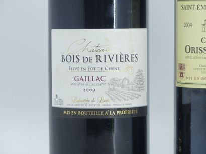 2 MAGNUM DE BORDEAUX 1 magnum of GAILLAC, 2009, Château BOIS DE RIVIERES. 

1 magnum...