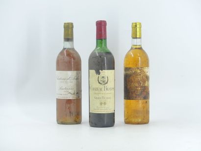 LOT 3 BOUTEILLES BORDEAUX 1 bottle of MOULIS, 19725, Château BRANAS. Damaged label....