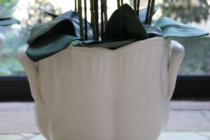 null Pair of glazed earthenware planters with white background, 20th century. Height...