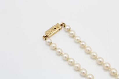 null Necklace of cultured pearls in fall, the clasp in yellow gold 18k (750/1000)...