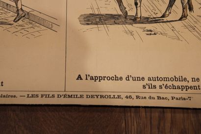 null [Affiche] , Réunion d'affiches pédagogiques DEYROLLE, Les fils Deyrolles. Paris,...