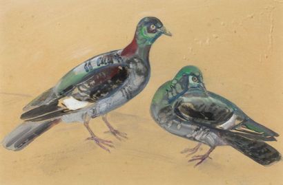 null RAYMOND BIGOT (1872-1953)

Deux pigeons

signé, daté et dédicacé 'Avec leurs...