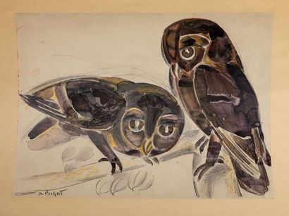 null RAYMOND BIGOT (1872-1953)

Deux chouettes

signé 'r Bigot' (en bas à gauche)

encre,...