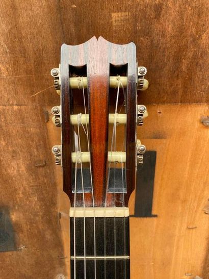 Collection Ricet Barrier Guitar circa 1900 made by Gazzo Settimio in Genoa

Handle...