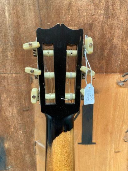 Collection Ricet Barrier Guitar circa 1900 made by Gazzo Settimio in Genoa

Handle...