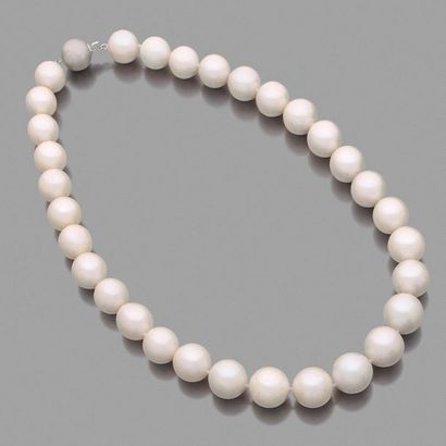 null COLLIER composé d’un rang de perles de culture rondes de couleur blanche. Fermoir...