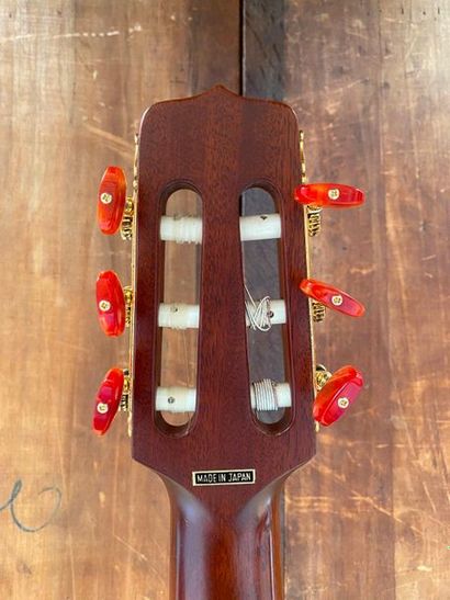null Guitar strings electro acoustic nylon strings Takamine branded cutaway nylon...