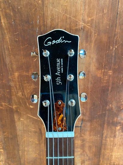 null Guitare archtop electrique de marque GODIN 5th Avenue P90 made in Canada

N°...