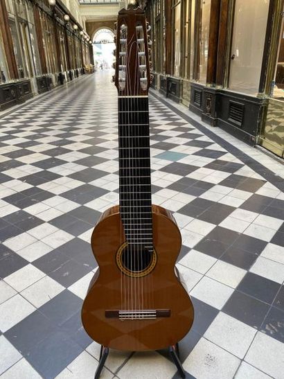 Guitare classique decacordes du luthier Bastiste...