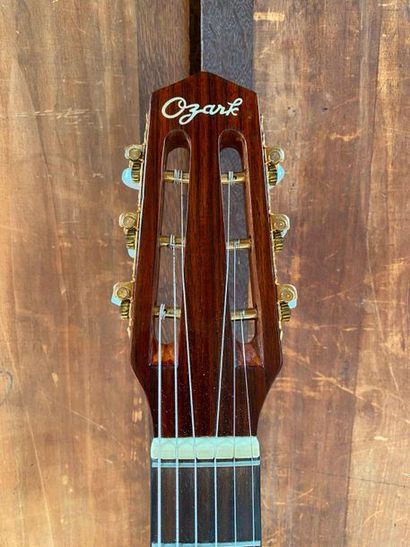 null Gypsy jazz guitar big mouth XII OZARK brand cases

Good condition, ready to...