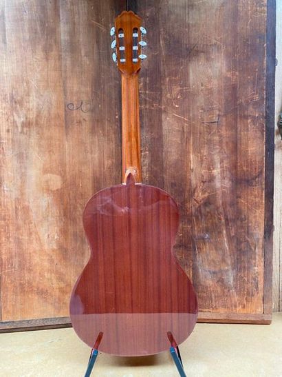 null Prudencio Saez Classical Guitar Model 4A

Study Guitar - small table slots 

In...