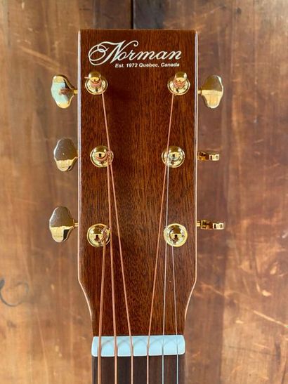 null Guitare folk de marque Norman made in Canada modèle Studio ST40

N° de série...