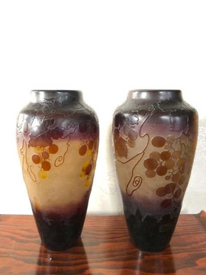 null Establishment GALLE

Pair of ovoid shaped vases in purple lined glass on a yellow...