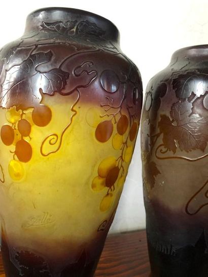 null Etablissement GALLE

Paire de vases de forme ovoïde en verre doublé violet sur...