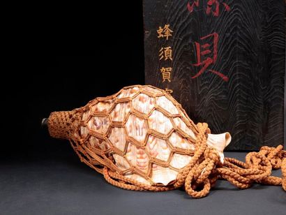 null Large conch used in war horn called "Horogai" or "Jonkai", surrounded by ropes,...