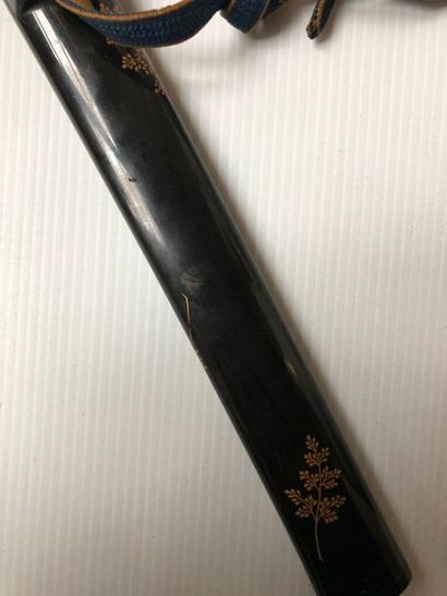 null Tanto short sword in its lacquer saya. Blade signed "Ietsugu (Kashu)".

Edo