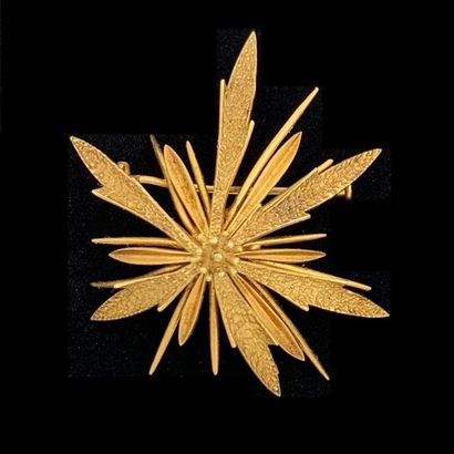 null BROCHE " étoile " en or jaune (750‰). Travail français. Long. : 5 cm. Poids...